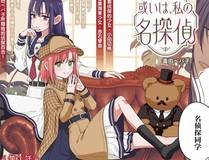 全知读者视角